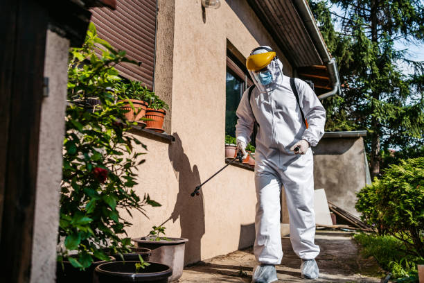 Pest Control for Restaurants in Bellevue, IA