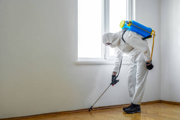Best Residential Pest Control  in Bellevue, IA