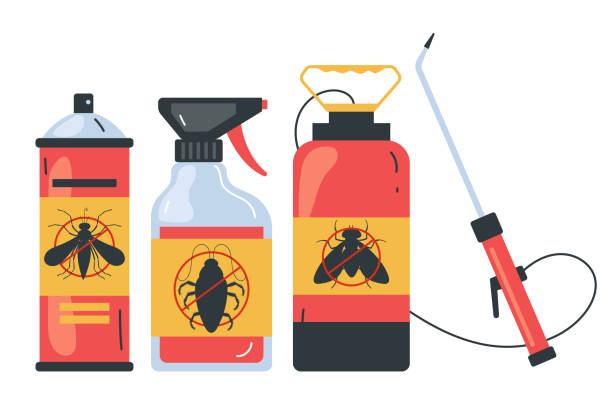 Best Termite Control Services  in Bellevue, IA