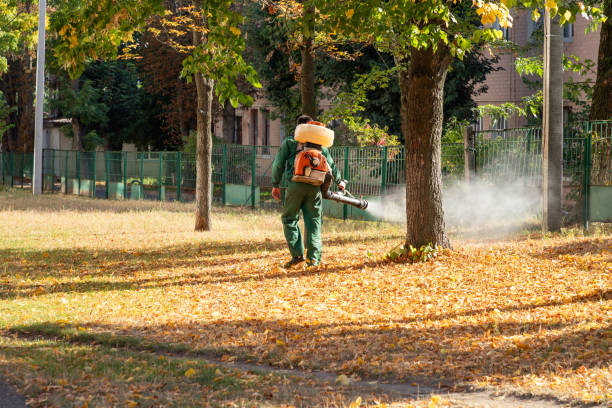 Pest Prevention Services in Bellevue, IA