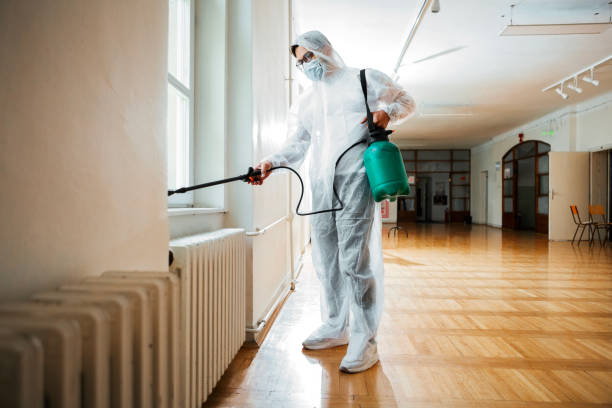 Best Pest Removal Services  in Bellevue, IA